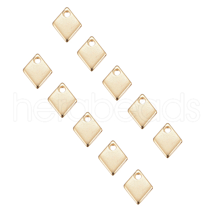 Unicraftale 304 Stainless Steel Charms STAS-UN0003-43G-1