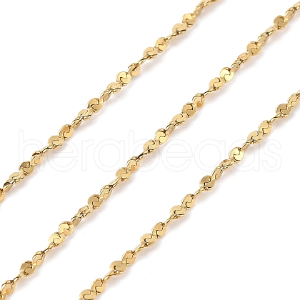 304 Stainless Steel Serpentine Chains CHS-K270-04G-1