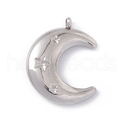 304 Stainless Steel Pendants STAS-E173-01P-1