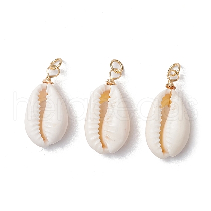 Natural Cowrie Shell Pendants PALLOY-JF03712-03-1