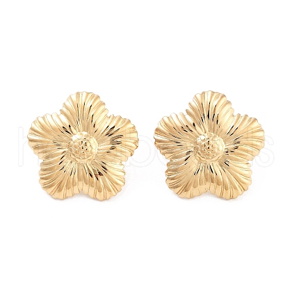 316 Surgical Stainless Steel Stud Earrings for Women STAS-M062-02G-C-1