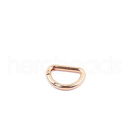 D-shaped Zinc Alloy Spring Ring Clasps PW-WGC1CD5-01-1
