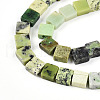 Natural Serpentine Beads Strands G-N346-05A-06-4