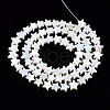 Natural Freshwater Shell Beads Strands SHEL-Q024-018-2