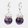 Natural Gemstone Dangle Earrings EJEW-JE02192-2