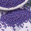MIYUKI Delica Beads X-SEED-J020-DB0880-1