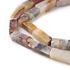 Natural Crazy Lace Agate Beads Strands G-G837-04-3