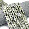 Natural Labradorite Beads Strands G-P575-A49-6x4mm-1