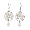 Natural Gemstone Dangle Earrings EJEW-JE05747-3
