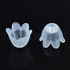 Transparent Acrylic Bead Caps FACR-N005-002D-4