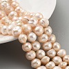 Natural Cultured Freshwater Pearl Beads Strands PEAR-C003-14B-1