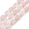 Natural Madagascar Rose Quartz Beads Strands G-Z087-D03-2