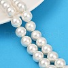 AB Color Plated Shell Pearl Round Beads Strands BSHE-XCP0001-50-1
