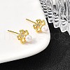925 Sterling Silver Clear Cubic Zirconia Bowknot Stud Earring EJEW-L300-11G-3