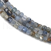 Natural Kyanite Beads Strands G-B088-E24-02-4
