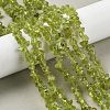 Natural Peridot Beads Strands G-P332-48-01-5