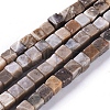 Natural Fossil Coral Beads Strands G-D0020-13B-1