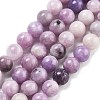Natural Lepidolite/Purple Mica Stone Beads Strands G-M353-A01-8mm-01-2