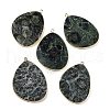 Natural Kambaba Jasper Pendants G-K347-02G-01-1