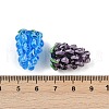 Handmade Lampwork Enamel Beads LAMP-U004-07M-4