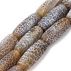 Natural Weathered Agate Beads Strands G-Q169-D04-01A-1