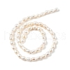 Natural Cultured Freshwater Pearl Beads Strands PEAR-I007-01B-04B-3