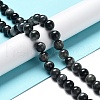 Natura Hawk's Eye Beads Strands G-D0001-22B-8mm-01-4