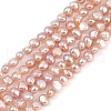 Natural Cultured Freshwater Pearl Beads Strands PEAR-P064-19B-05B-2