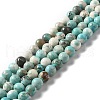 Natural Magnesite Beads Strands G-L555-02B-02-1