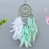 Woven Web/Net with Feather Decorations PW-WG21777-05-1
