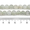 Natural Green Moonstone Beads Strands G-NH0060-A01-01-5