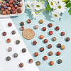ARRICRAFT Natural Polychrome Jasper/Picasso Stone/Picasso Jasper Frosted Bead Strands G-AR0003-66-3