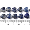 Natural Lapis Lazuli Beads Strands G-P570-E12-01-5