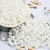 Imitation Jade Glass Seed Beads SEED-Z001-A-B01-1