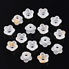 Frosted Transparent Acrylic Beads X-OACR-N137-72A-2