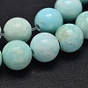 Natural Howlite Beads Strands TURQ-P027-17-8mm-1