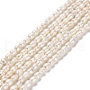 Natural Cultured Freshwater Pearl Beads Strands PEAR-E016-144-1