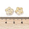 Transparent Glass Beads DGLA-E004-12D-3