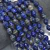 Natural Lapis Lazuli Beads Strands G-K389-D21-01-2