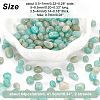 SUPERFINDINGS 2 Strands Natural Amazonite Beads Strands G-FH0001-60-5