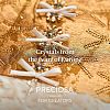 Preciosa® Crystal Hotfix Flatback Stones Y-PRC-HSS16-00030-279-4