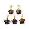 Natural Tiger Eye Charms X-G-N326-142-01-1