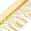 10 Yards Beading Sequins Polyester Tassel Ribbons SRIB-WH0026-12B-2