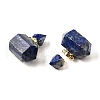 Natural Lapis Lazuli Perfume Bottle Pendants G-L623-08G-07-2