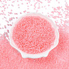 8/0 Transparent Glass Seed Beads SEED-F003-03B-15-1