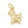 Brass Pendants KK-U062-63G-1