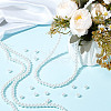 HOBBIESAY 2 Strands Baking Painted Pearlized Glass Pearl Round Beads Strands HY-HY0001-05-3