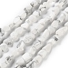 Natural Howlite Beads Strands G-P497-01C-64-1