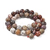 Natural Mexican Lace Agate Beads Strands G-E578-02C-01-4