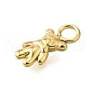 304 Stainless Steel Charms STAS-H233-19G-2